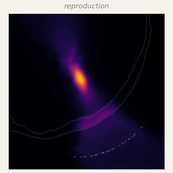 Axial pressure-amplitude slice through the GT focal voxel: U-Net reproduction.
